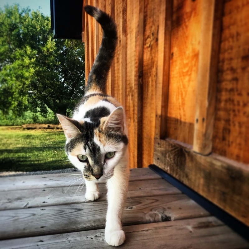 Facilities manager on patrol